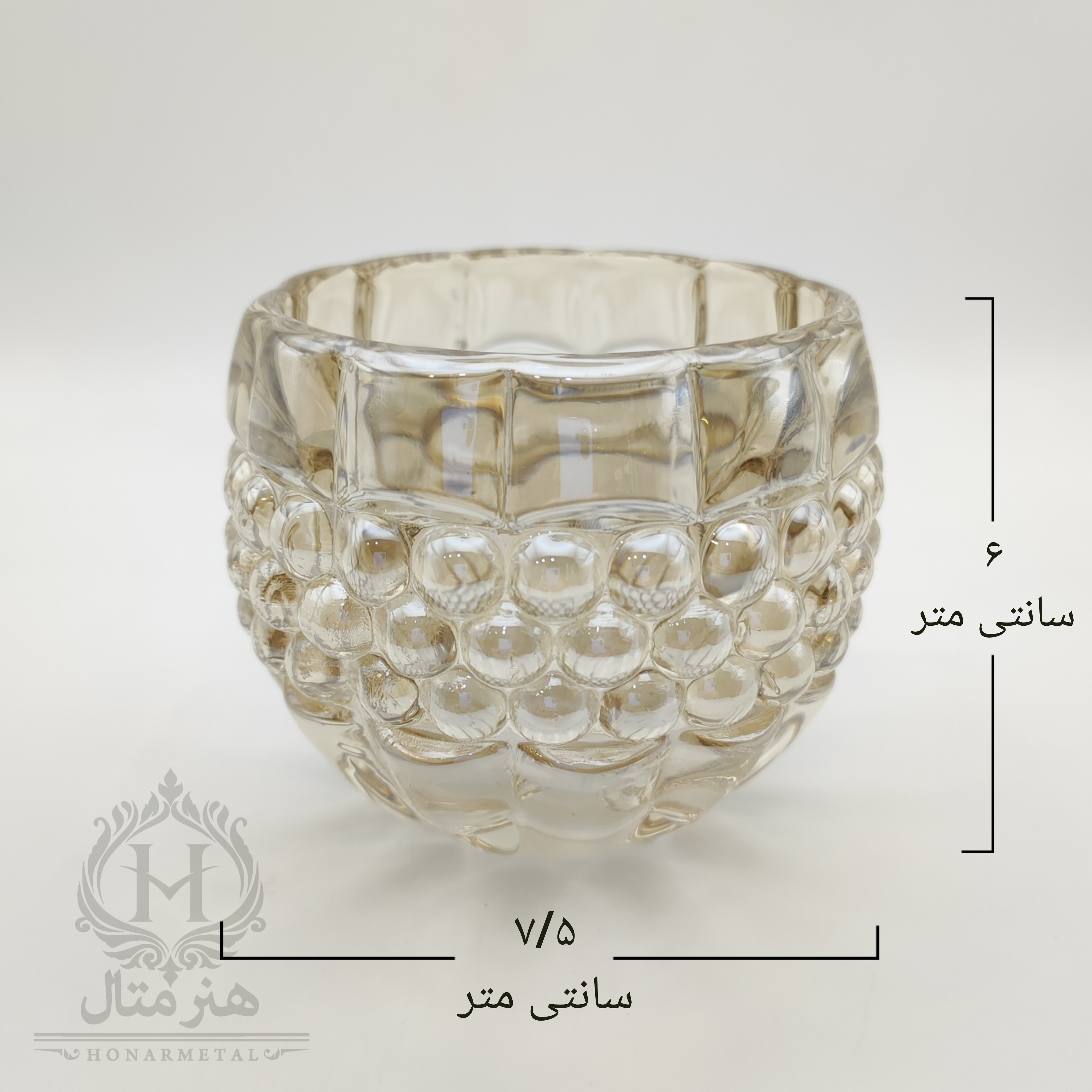لاله ساچمه‌ای کوچک شامپاینی